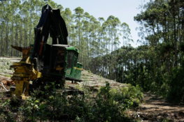 a-large-machine-is-in-the-middle-of-a-forest.jpg a large machine is in the middle of a forest