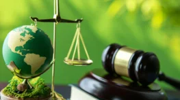 environmental-law-judges-gavel-environmental-protection-law-antiglobal-warming-law-business-scaled.webp